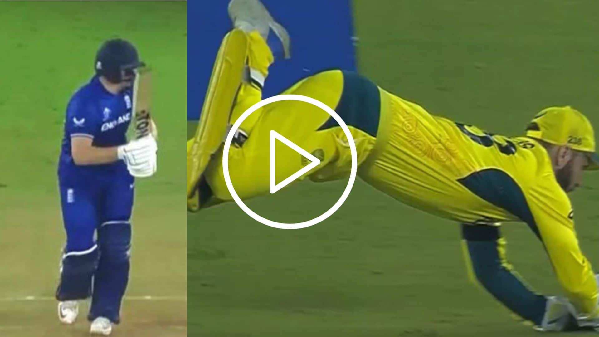 [Watch] Starc's Killer Pace, Inglis' Flying Catch Sends Bairstow Back For A Golden Duck